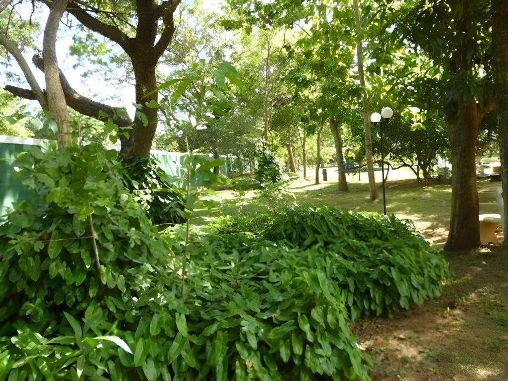 Saji-Sami Hotel Anuradhapura Exterior foto