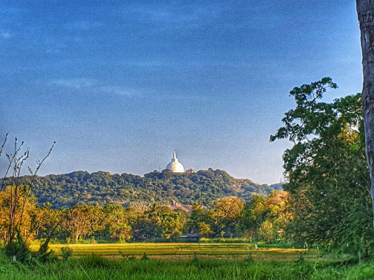 Saji-Sami Hotel Anuradhapura Exterior foto